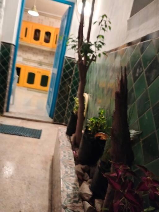 Coup De Coeur A Sidi Bou Said Villa Exterior foto